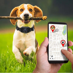 Zealnlife Dog Fence Collar