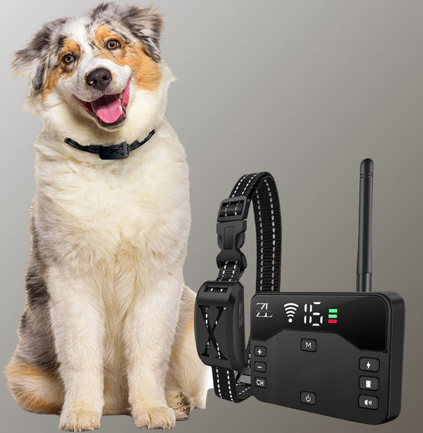 Invisible Wireless Dog Fence