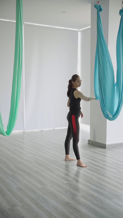 Aerial Silks